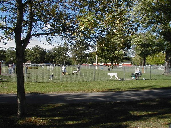Picture: Bay County Dog Park